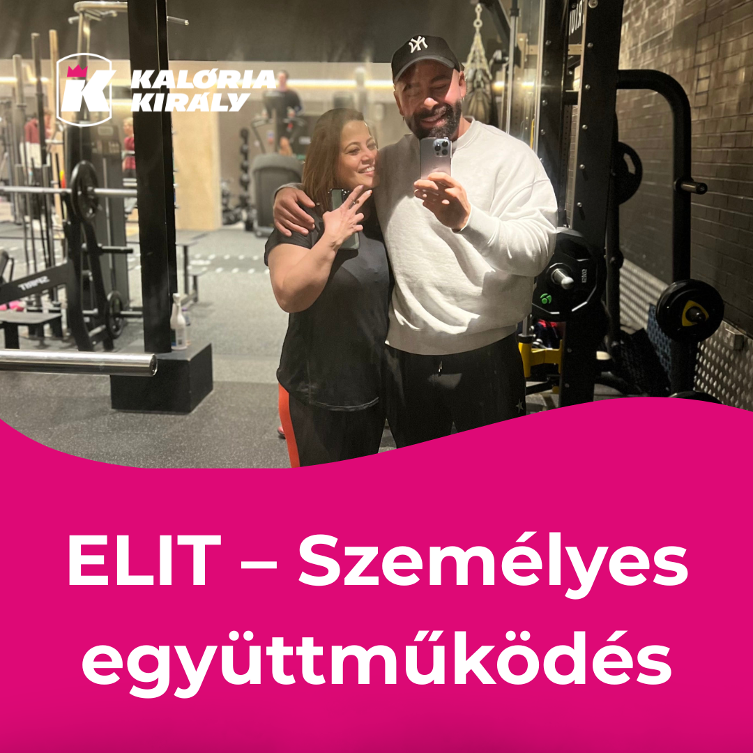 ELIT – Személyes együttműködés