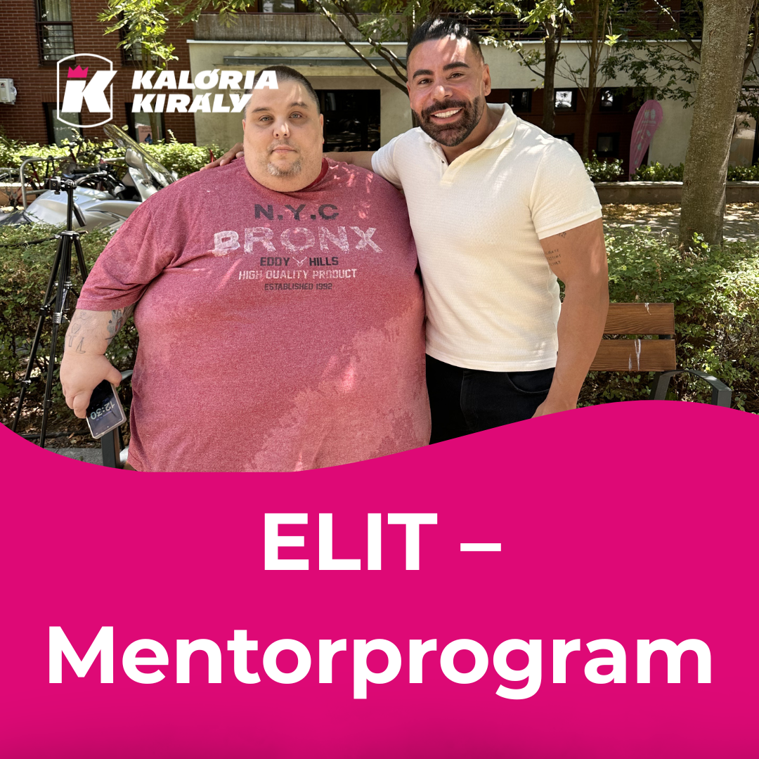 ELIT Mentorprogram